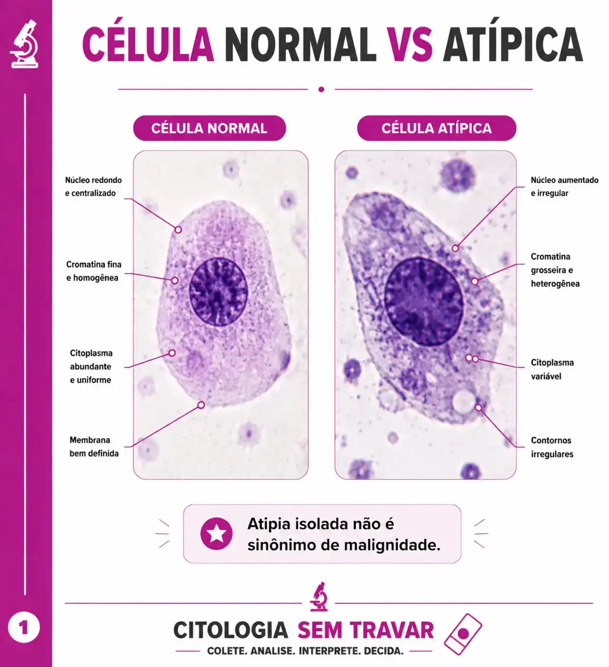 Célula normal